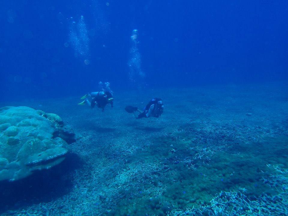 Scuba Diving in Tioman on Nautica