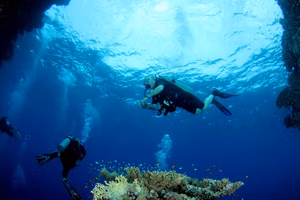 Disconnect to Reconnect: Liveaboard Dive Trips to Take this Year
