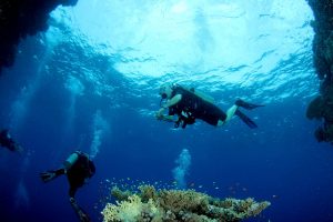 Disconnect to Reconnect: Liveaboard Dive Trips to Take this Year