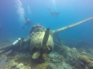 Wreck Diving Guide: Hunting down wreck ghosts and sea monsters