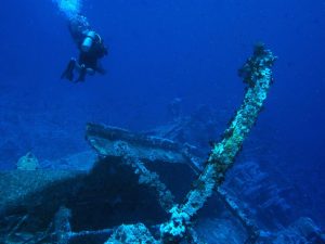 Liveaboard Diving: The Best Way to Experience the Ocean